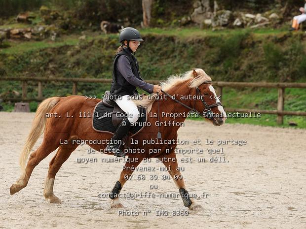 Dossier n°14