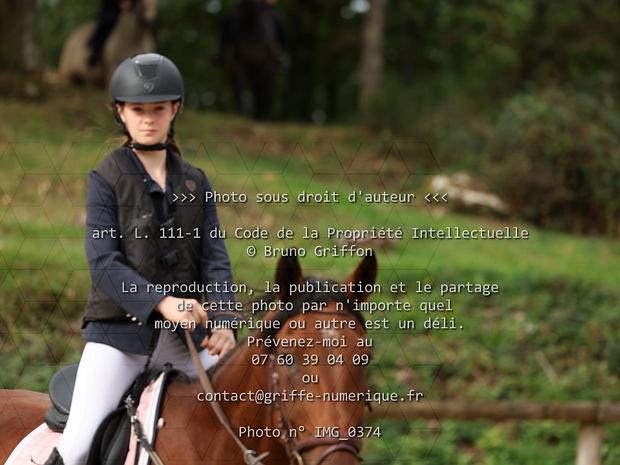 Dossier n°16