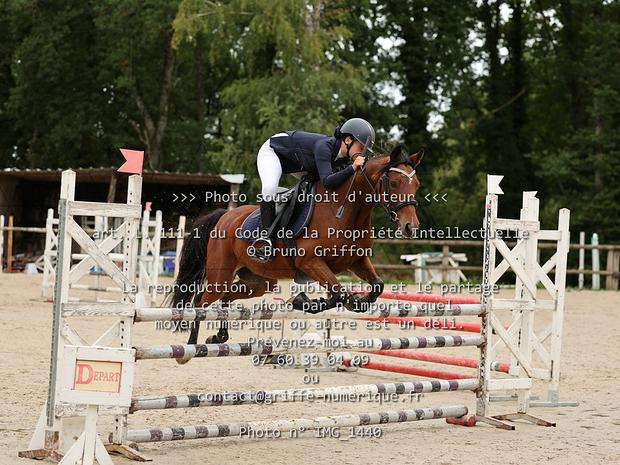 13 - PONEY ELITE
