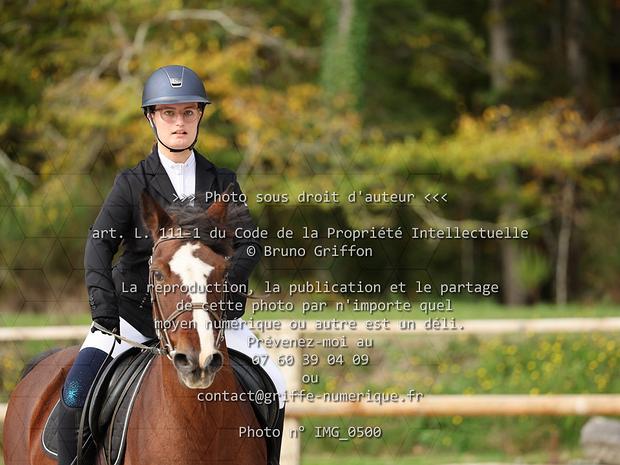 Dossier n°13