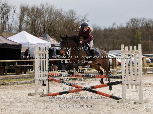 07 - Poney 2