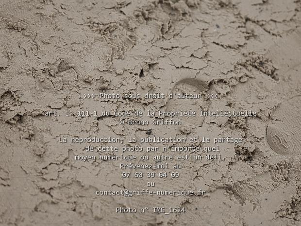 Dossier n°03