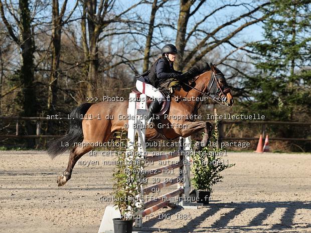 11 - Prépa 100 - Club Elite - Poney Elite